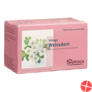 Sidroga Weissdorn Tee 20 Beutel