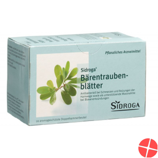 Sidroga Baerentraubenblätter Tee Beutel 20 Stück