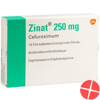 Zinat 250mg 14 Filmtabletten