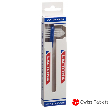 Lactona denture brush buy online