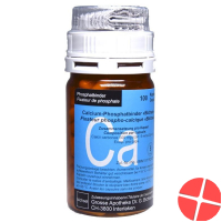 Calcium Phosphatbind Bichsel Kapseln 500mg 100 Stück