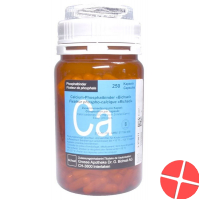 Calcium Phosphatbind Bichsel Kapseln 500mg 250 Stück