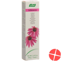 A. Vogel Zahnpasta Echinacea 100g