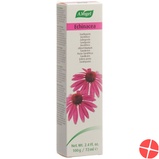 A. Vogel Zahnpasta Echinacea 100g
