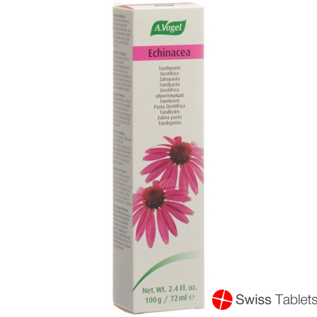 A. Vogel Zahnpasta Echinacea 100g buy online