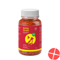 Anima Strath Aufbaumittel 100g