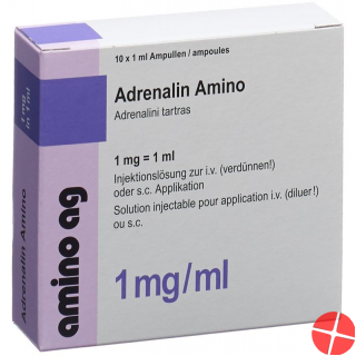 Adrenalin Amino Injektionslösung 1mg/ml 10 Ampullen 1ml