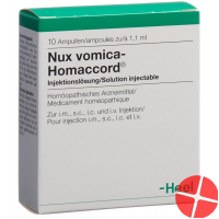 Homaccord Nux Vomica Injektionslösung Ampullen 10 Stück