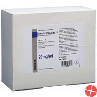 Procain HCl 2% Amino 100mg/5ml 100 Ampullen 5ml