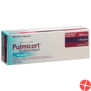 Pulmicort Inhal Loesung 0.5mg/ml 20 Respule 2ml