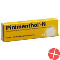 Pinimenthol N Salbe Tube 40g