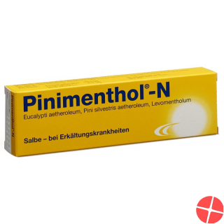 Pinimenthol N Salbe Tube 40g