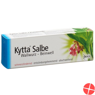Kytta Salbe 100g