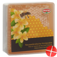 Biorex Honig Waben 340g