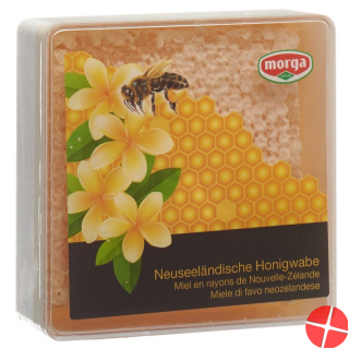 Biorex Honig Waben 340g