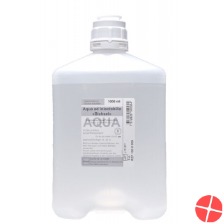 Aqua Ad Iniectabilia Bichsel Plastikflasche 1000ml