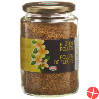 Biorex Blütenpollen 450g