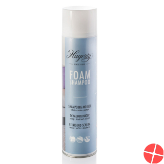 Hagerty Shampoo Schaum Aeros Spray 600ml