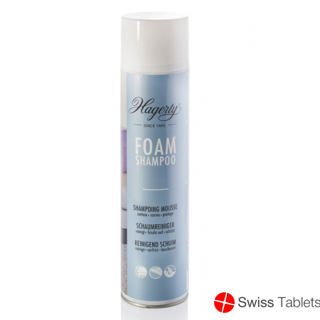Hagerty Shampoo Schaum Aeros Spray 600ml buy online