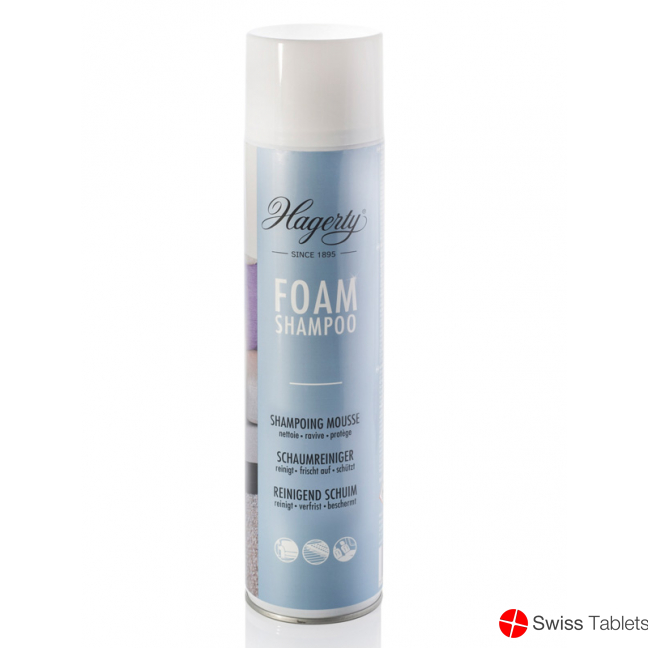 Hagerty Shampoo Schaum Aeros Spray 600ml buy online
