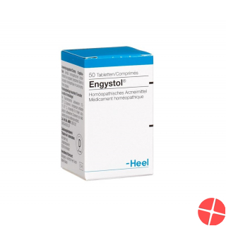 Engystol Tabletten 250 Stück Engystol Tabletten 250 Stück