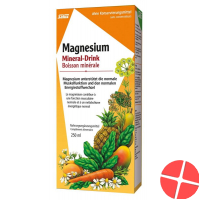 Floradix Magnesium Mineral Drink 250ml
