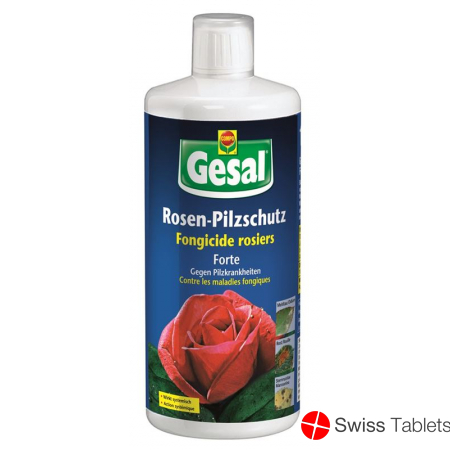 Gesal Rosen Pilzschutz Forte 1L buy online