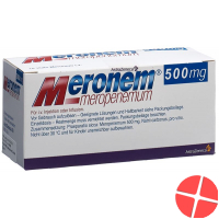 Meronem Trockensubstanz 500mg I.v Durchstechflasche 10 Stück