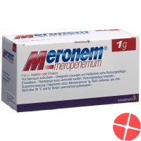 Meronem Trockensubstanz 1g i.v. Durchstechflasche 10 Stück