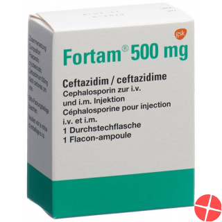 Fortam Trockensubstanz 500mg Durchstechflasche
