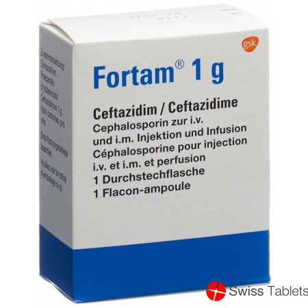 Fortam Trockensubstanz 1g Durchstechflasche buy online
