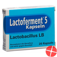 Lactoferment Kapseln 20 Stück