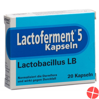 Lactoferment Kapseln 20 Stück
