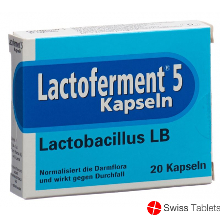 Lactoferment Kapseln 20 Stück buy online