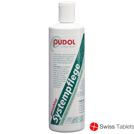 Pudol Systempflege Geruchlos 400g buy online