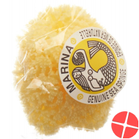 Marina natural sponge Venise 12cm