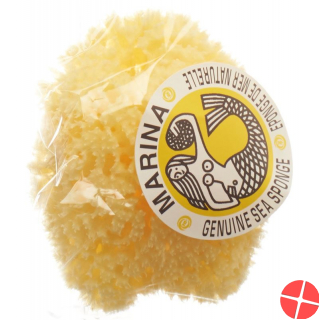 Marina natural sponge Venise 12cm