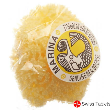 Marina natural sponge Venise 12cm buy online