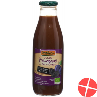 Danival Pflaumensaft D'agen 75cl