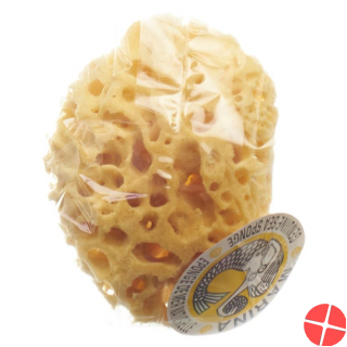 Marina natural sponge Venise 14cm
