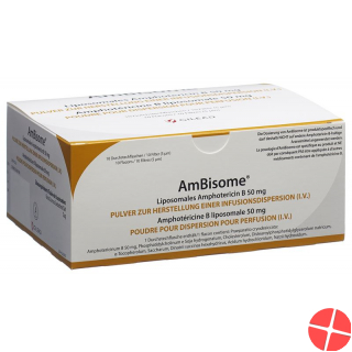 Ambisome Trockensubstanz 50mg Durchstechflasche 10 Stück