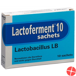 Lactoferment Pulver 10 Beutel 10g