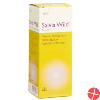 Salvia Wild Tropfen 100ml