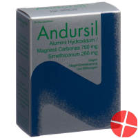 Andursil 24 Kautabletten