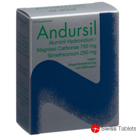 Andursil 24 Kautabletten buy online