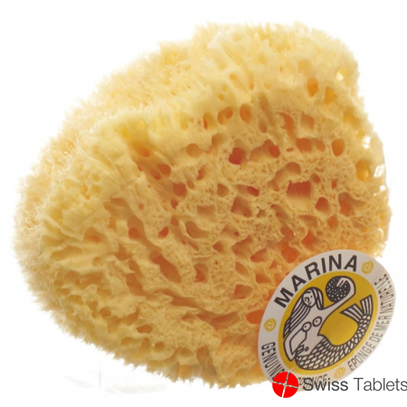 Marina natural sponge Venise 20cm buy online