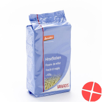 Vanadis Hirseflocken Demeter Beutel 500g
