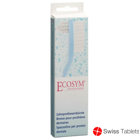 Ecosym denture brush buy online