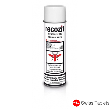 Recozit Wespen Spray 500ml buy online