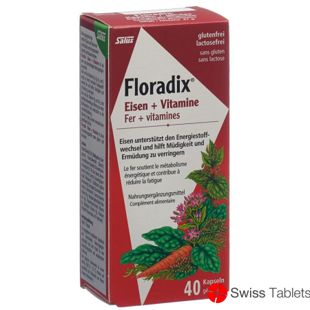 Floradix Vitamins + Organic Iron Capsules 40 Piece buy online
